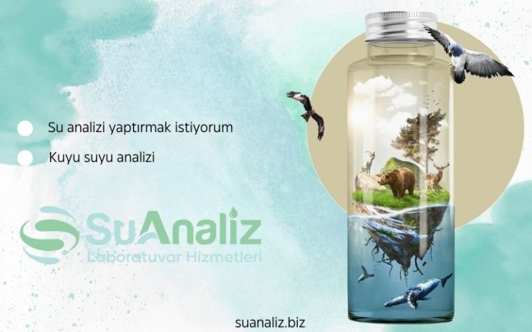 Kuyu Suyu Analizinin Adım Adım Süreci: Bilmeniz Gerekenler