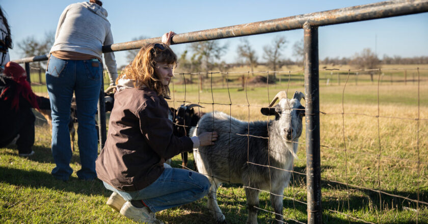 Kennedy’s plan for the drug crisis: a network of “healing farms”