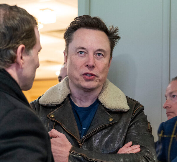 Musk allies argue to distribute artificial intelligence to find budget savings