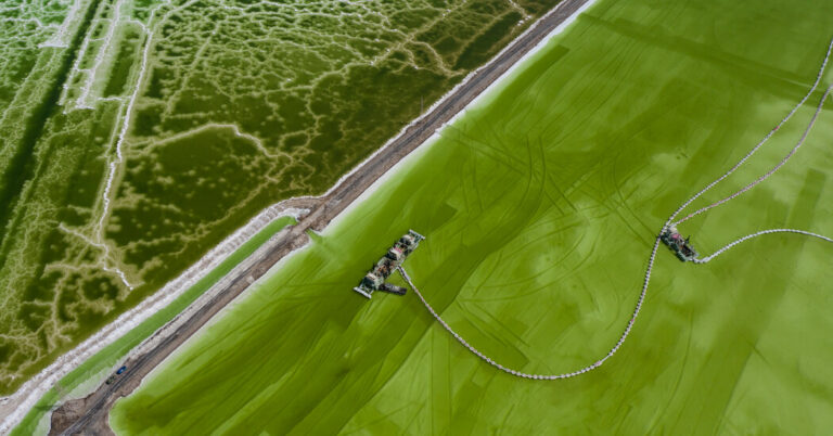 Like Trump and Biden, they pursued critical minerals in Ukraine, Greenland and in other countries