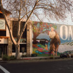 How Misinformation and Partisan ‘New Media’ Changed a California Town