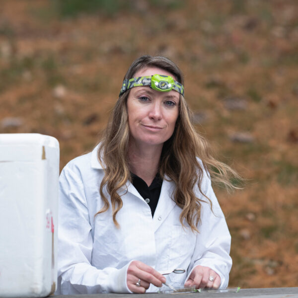 Researcher Focuses on Mosquitoes to Combat Malaria, But Faces Job Loss at U.S.A.I.D.