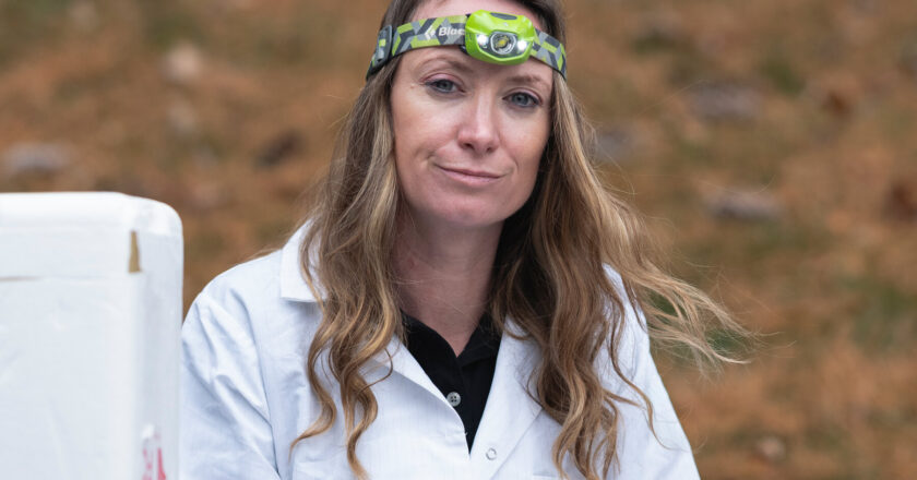 Researcher Focuses on Mosquitoes to Combat Malaria, But Faces Job Loss at U.S.A.I.D.