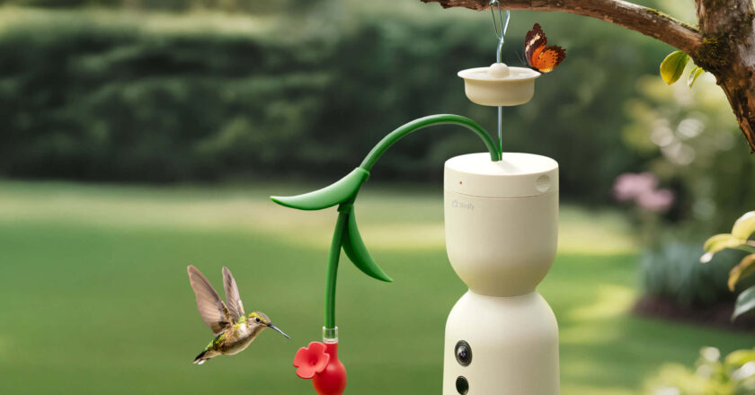 Birdfy’s Hum Bloom Records Hummingbirds in Stunning 120fps Slow Motion